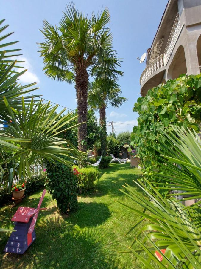Apartman Palma Marinici  エクステリア 写真
