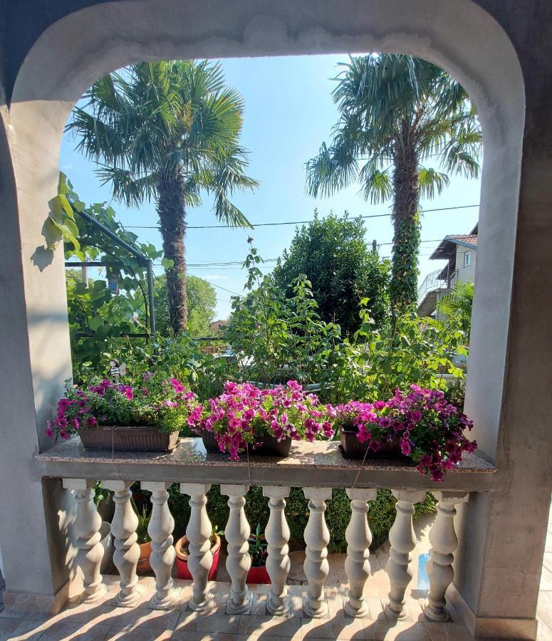 Apartman Palma Marinici  エクステリア 写真