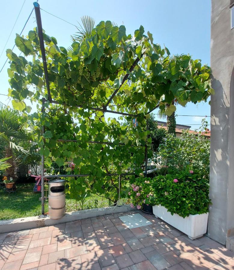 Apartman Palma Marinici  エクステリア 写真